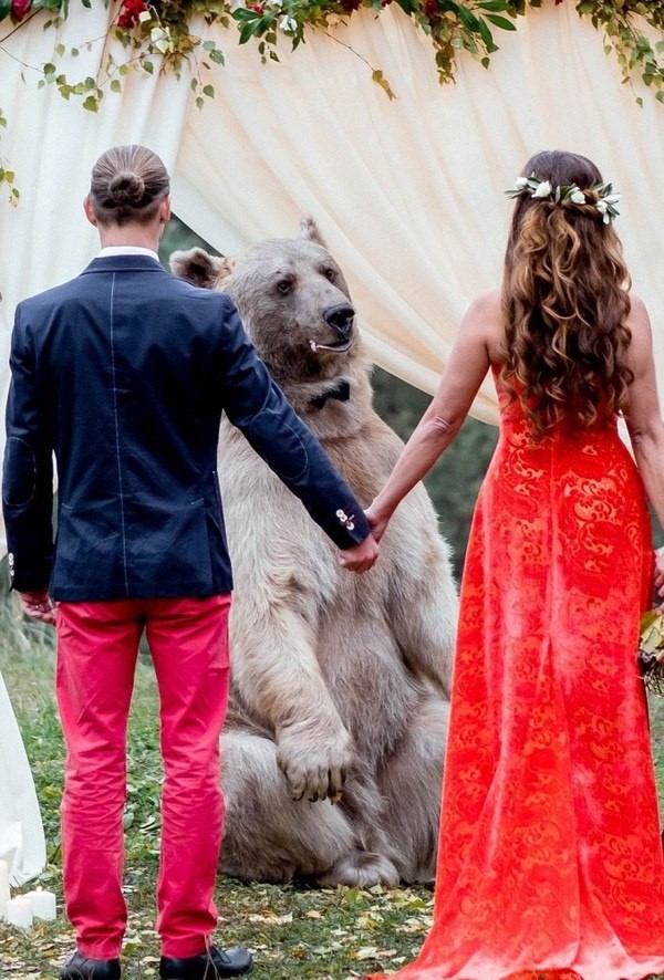 Ох уж эти русские свадьбы! (5 фото)