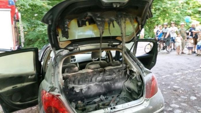 Любитель шашлыка едва не спалил автомобиль (3 фото)
