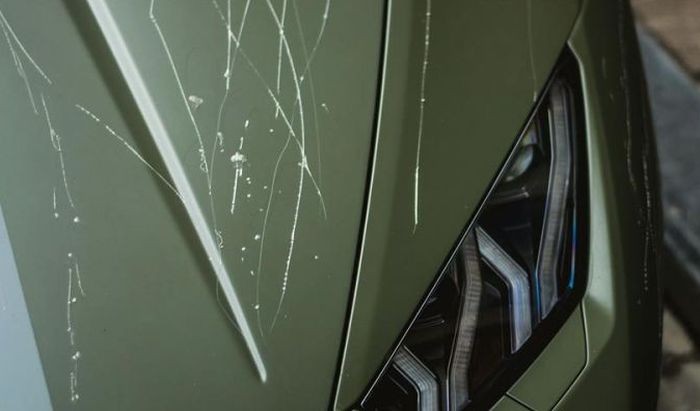 Вандалы повредили суперкар Lamborghini Huracan Avio (4 фото)