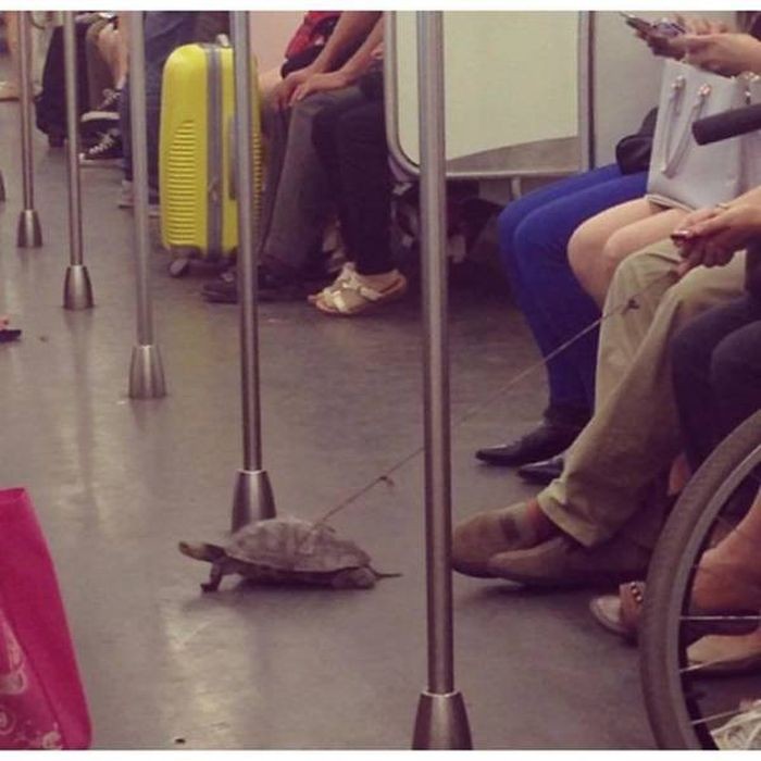 Странности в метро (43 фото)