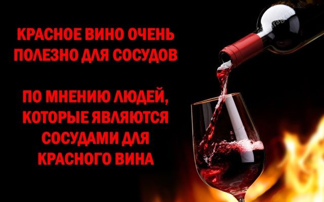 Подборка прикольных фотографий (46 фото)