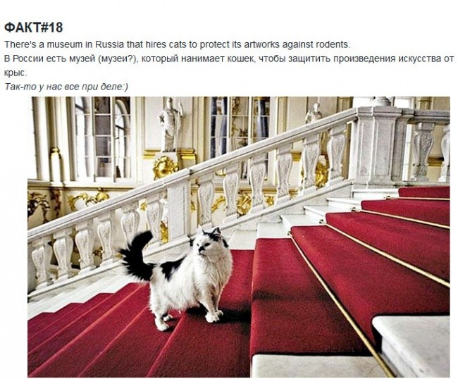 Факты о России, опубликованные на иностранном сайте (19 фото)