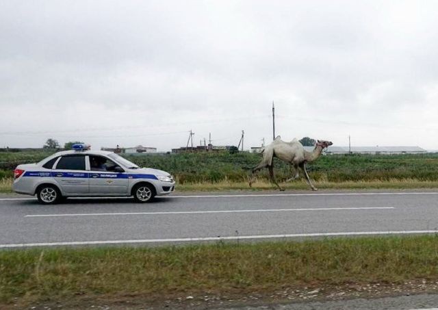 Подборка прикольных фотографий (46 фото)