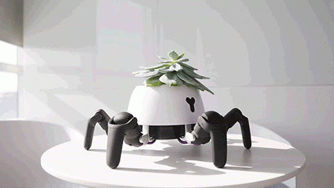 Милый робот «выгуливает» домашние растения на солнце (7 фото)