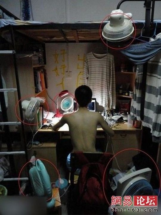 Вот так живут китайские студенты (7 фото)