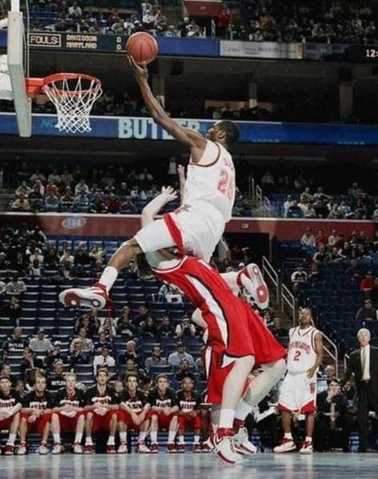 Забавная подборка снимков, сделанных в самый удачный момент (42 фото)