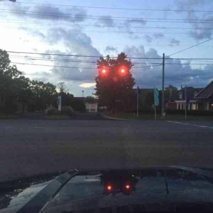 Фотографии, на которые нужно взглянуть дважды (39 фото)