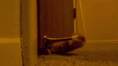 Подборка прикольных гифок