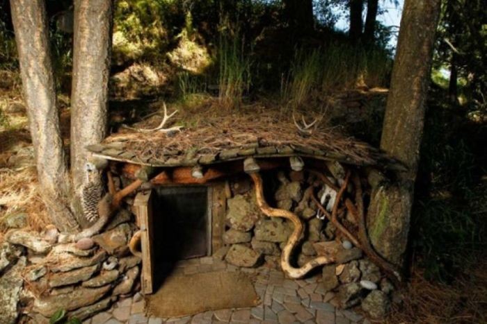 Уютный домик в дремучем лесу (9 фото)