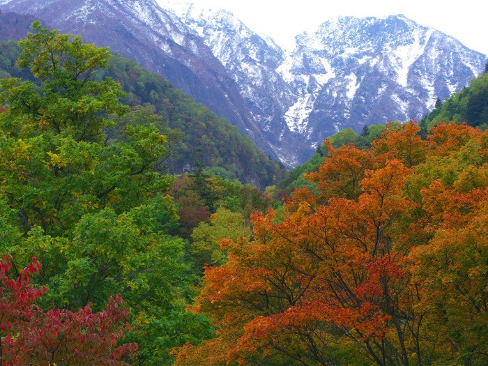 Для чего японцы по дешевке скупали в СССР стекло (5 фото)