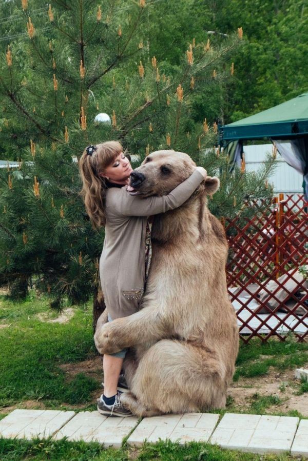 Медведь Степан, который уже 20 лет живет в семье (7 фото)
