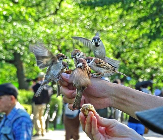 Фотографии вместо тысячи слов (45 фото)