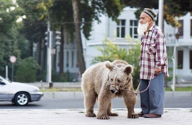 Трогательная история старика и медведицы по кличке Мария (6 фото)