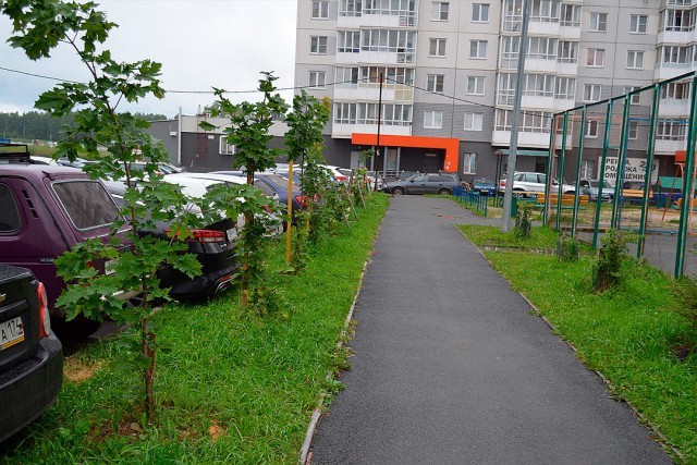Программист из Челябинска сделал лучший двор в раене (14 фото)