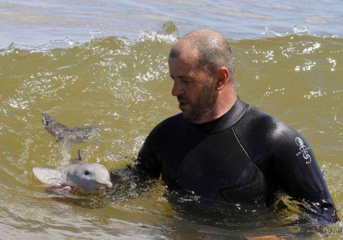 Спасение дельфина - сироты (8 фото)
