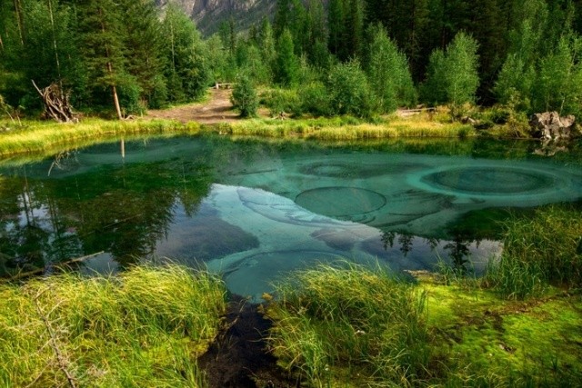 Красивое гейзерное озеро в Горном Алтае (5 фото)