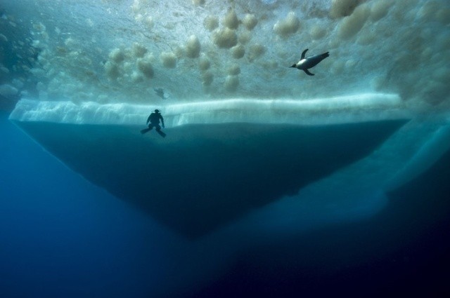 Фотографии обычных вещей из необычного ракурса (24 фото)