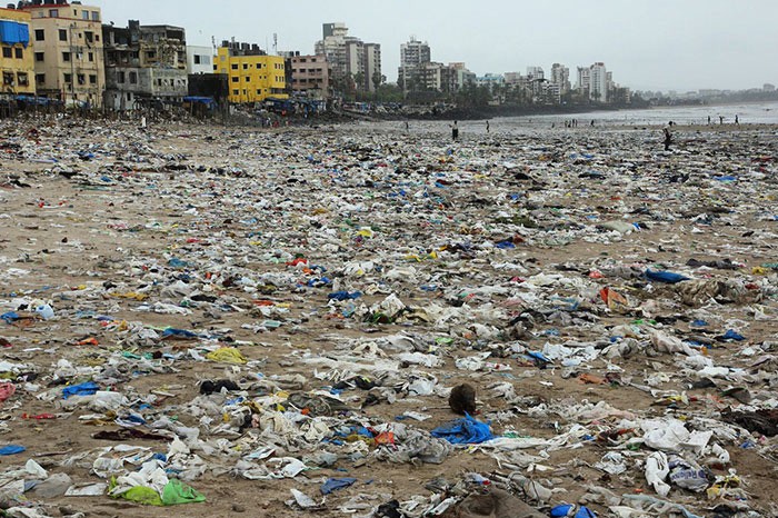 С пляжа в Индии убрали 5000 тонн мусора, чтобы спасти черепах