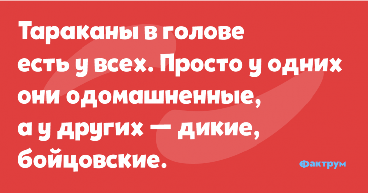 Приколы и анекдоты о различных ситуациях