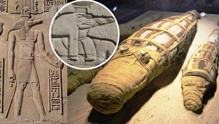 Зачем египтянам тысячи мумий крокодилов