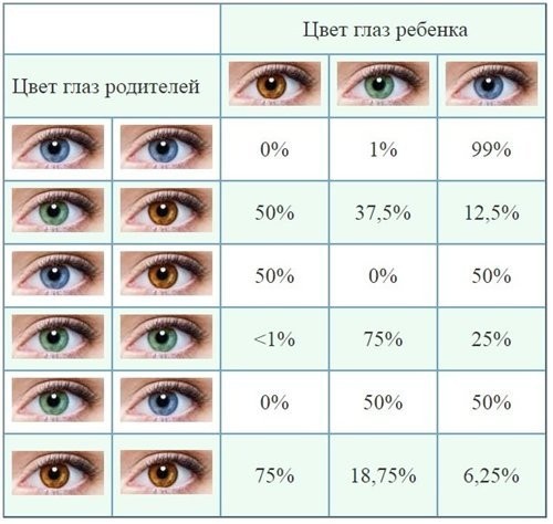 Как мы наследуем цвет глаз от наших родителей