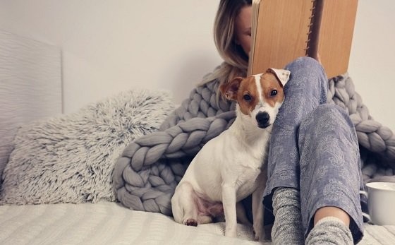 6 лучших пород собак, которые подойдут интровертам